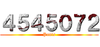 ４５４５０７２ (Pants)