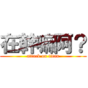 在幹嘛阿？ (attack on titan)