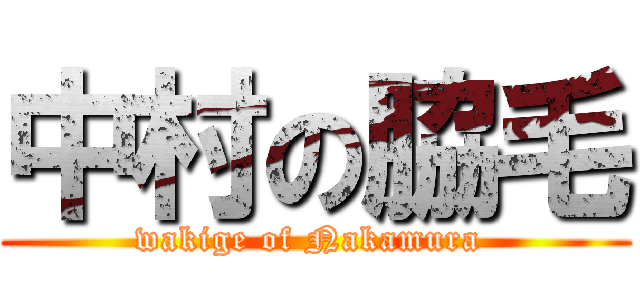 中村の脇毛 (wakige of Nakamura )