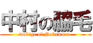 中村の脇毛 (wakige of Nakamura )