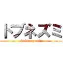 ドブネズミ (dobunezumi)