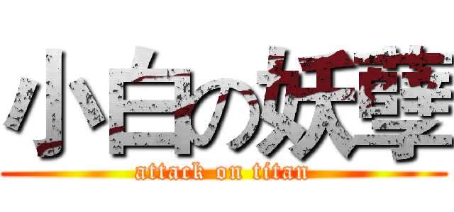 小白の妖孽 (attack on titan)