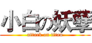 小白の妖孽 (attack on titan)