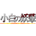 小白の妖孽 (attack on titan)