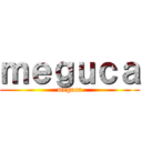 ｍｅｇｕｃａ (meguca)