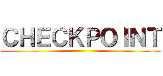 ＣＨＥＣＫＰＯＩＮＴ ()