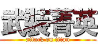 武裝菁英 (attack on titan)