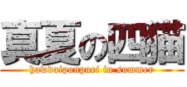 真夏の四猫 (hawdaiponpuei in summer)