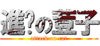 進擊の荳子 (attack on cat)