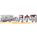 進撃の月小羽 (attack on titan)