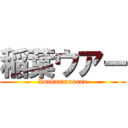 稲葉ウアー (Inabaaaaaaaaa)