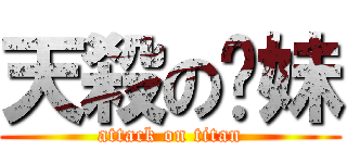 天殺の贰妹 (attack on titan)
