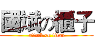 國斌の櫃子 (attack on titan)