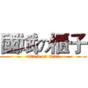 國斌の櫃子 (attack on titan)