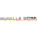 ＭＵＲＡＬＬＡ ＢＥＲＭＵＤＡ  (attack on titan)
