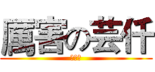 厲害の芸仟 (???)