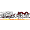 進撃の柏全 (attack on titan)