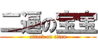 二逼の宝宝 (attack on titan)
