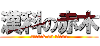 漢科の赤木 (attack on titan)