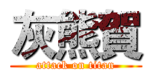 灰熊賀 (attack on titan)