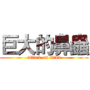 巨大的鼻蟲 (attack on titan)