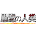 愚蠢の人类 (sb de people)