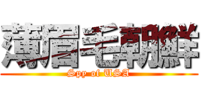 薄眉毛朝鮮 (Spy of USA)