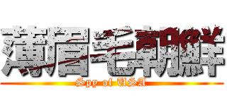薄眉毛朝鮮 (Spy of USA)