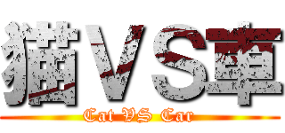 猫ＶＳ車 (Cat VS Car)