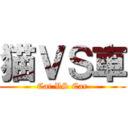 猫ＶＳ車 (Cat VS Car)