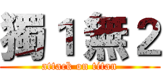 獨１ 無２ (attack on titan)