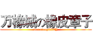 万橡城の橡皮章子 (wanxiangCITY)