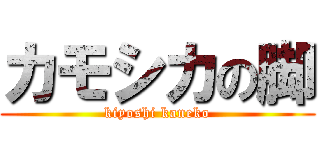 カモシカの脚 (kiyoshi kaneko)
