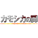 カモシカの脚 (kiyoshi kaneko)