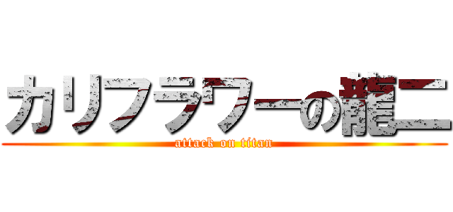 カリフラワーの龍二 (attack on titan)
