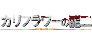 カリフラワーの龍二 (attack on titan)
