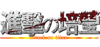 進擊の培瑩 (attack on titan)