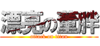 漂亮の董胖 (attack on titan)