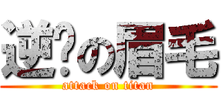 逆袭の眉毛 (attack on titan)