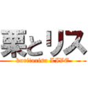 栗とリス (kuritorisu LIVE)