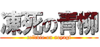凍死の青柳 (colddie on aoyagi)