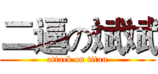 二逼の斌斌 (attack on titan)