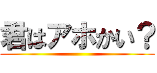 君はアホかい？ ()