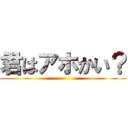 君はアホかい？ ()