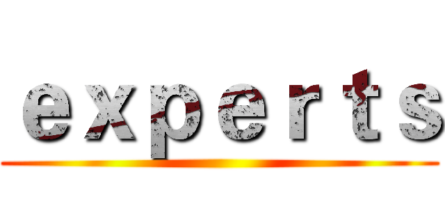 ｅｘｐｅｒｔｓ ()