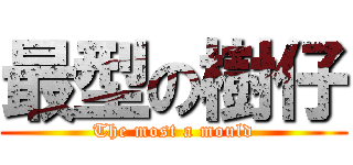 最型の樹仔 (The most a mould)