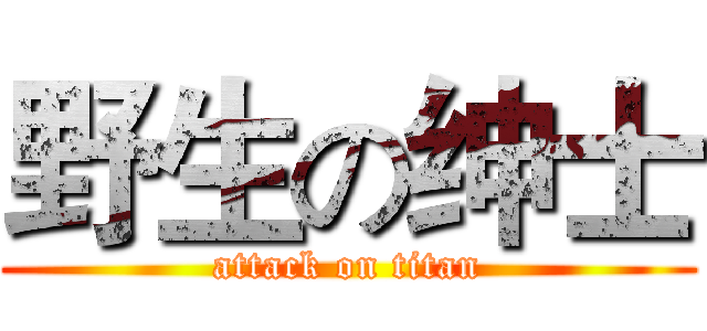 野生の绅士 (attack on titan)