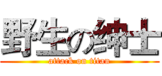 野生の绅士 (attack on titan)