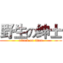 野生の绅士 (attack on titan)