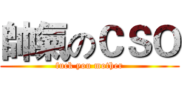 帥氣のＣＳＯ (fuck you mother)